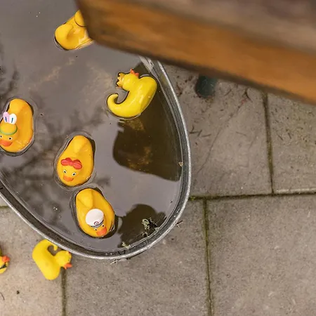 Character House In Vals-les-bains Σπίτι διακοπών *